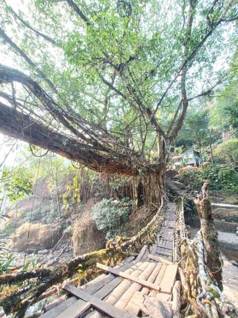 Odyssey Stays Nongriat - 3Kms Trek From Main Road Cherrapunji Eksteriør billede