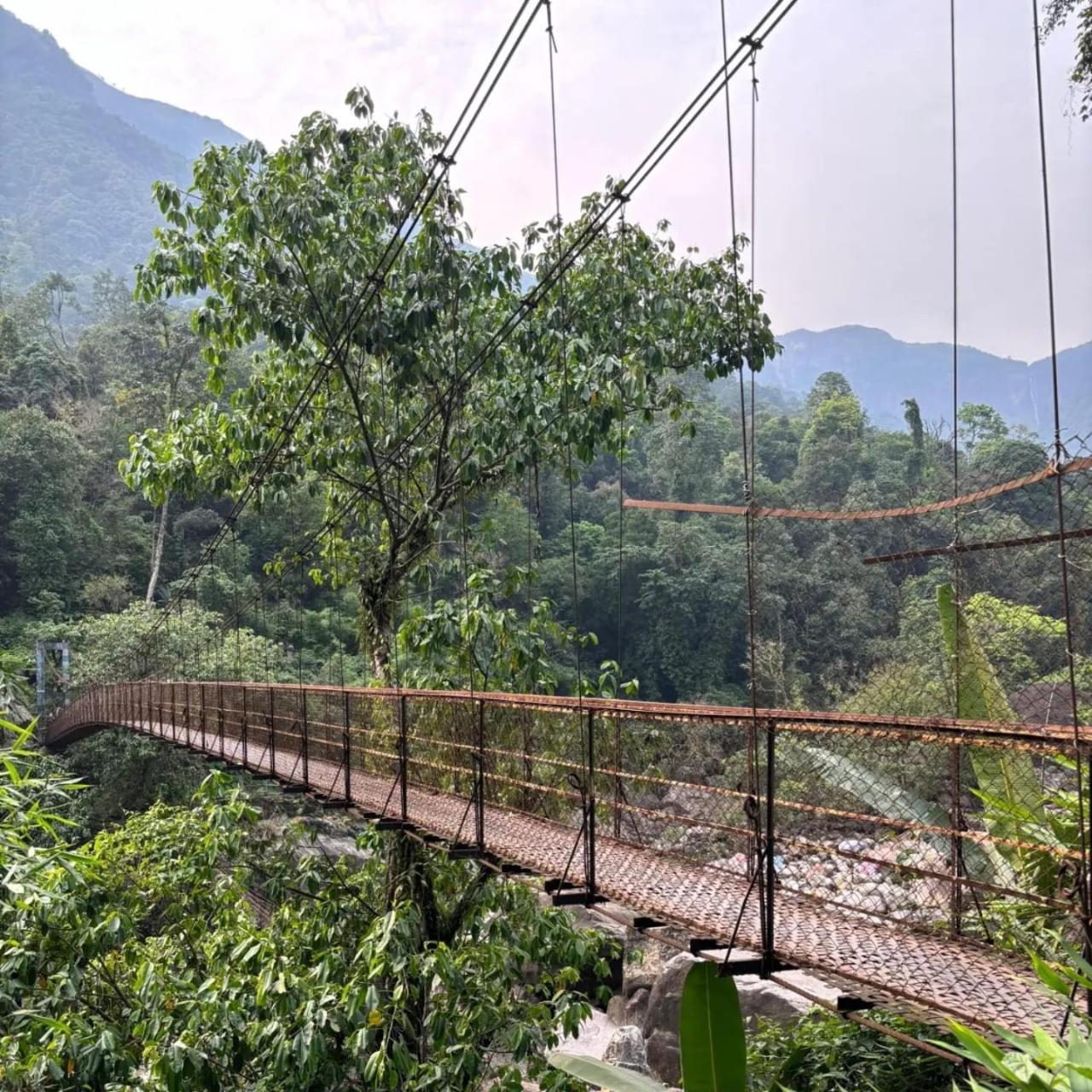 Odyssey Stays Nongriat - 3Kms Trek From Main Road Cherrapunji Eksteriør billede